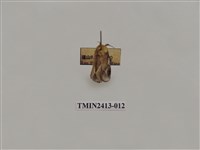 藏品(中銀紋刺蛾)的圖片